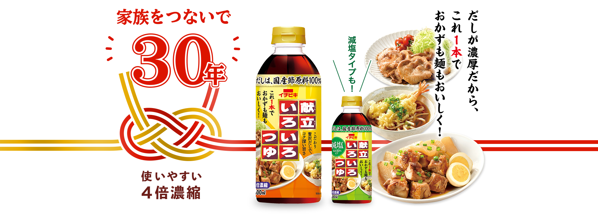 献立いろいろつゆ／家族をつないで30年 さらに美味しくリニューアル！／だしが濃厚だから、これ1本でおかずも麺も美味しく！