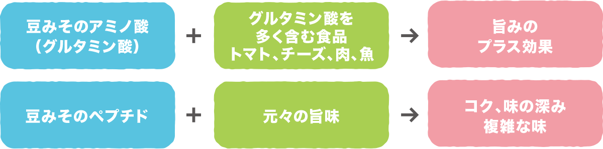 豆みそのアミノ酸(グルタミン酸) + グルタミン酸を多く含む食品 トマト、チーズ、肉、魚 → 旨みのプラス効果 / 豆みそのペプチド + 元々の旨み → コク、味の深み、複雑な味