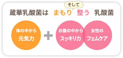 蔵華乳酸菌は「まもり」「整う」乳酸菌