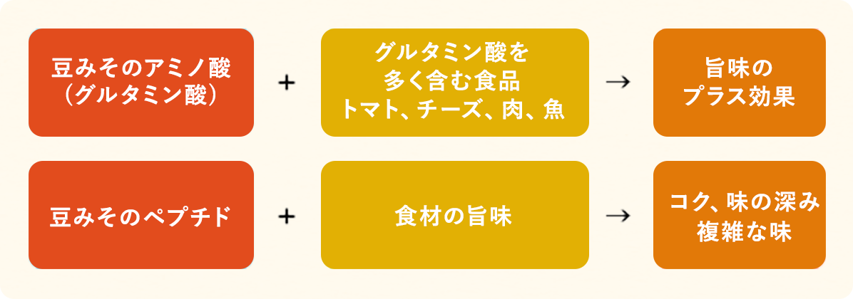 豆みそのアミノ酸(グルタミン酸)+グルタミン酸を多く含む食品(トマト、チーズ、肉、魚)→旨味のプラス効果 | 豆みそのペプチド+食材の旨味→コク、味の深み、複雑な味